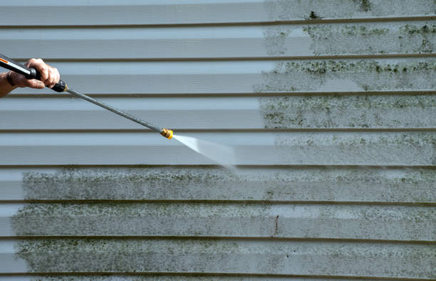 Best Local Mold Removal Service  in Clare, MI